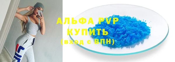 ешки Пересвет