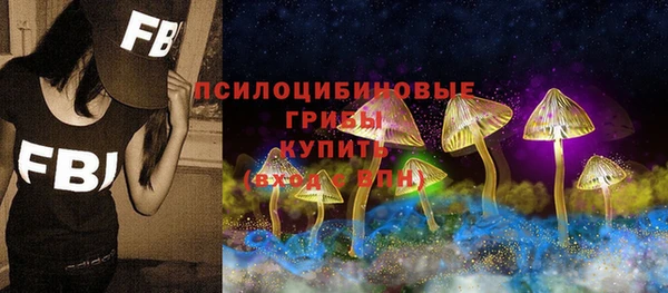 синтетический гашиш Пестово