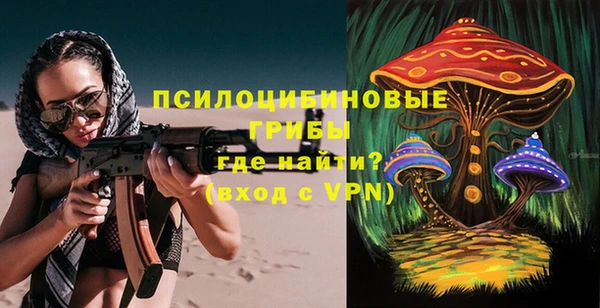ешки Пересвет