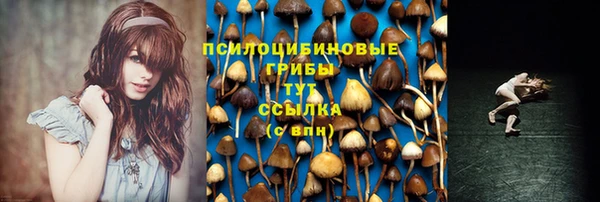 синтетический гашиш Пестово