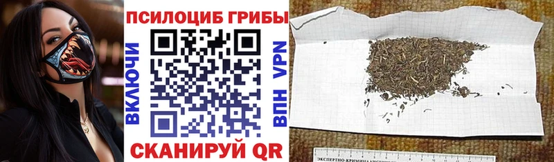 Псилоцибиновые грибы мицелий Калязин