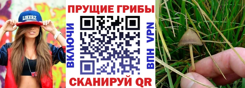 Галлюциногенные грибы мицелий  Купить закладки  Калязин 